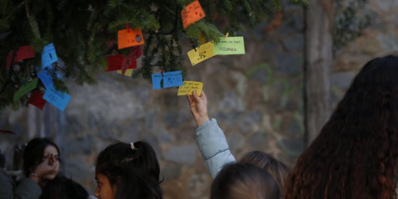 Els nens i nenes del Ferran i Clua han penjat els seus desitjos a l'arbre. FOTO: Anna Bassa