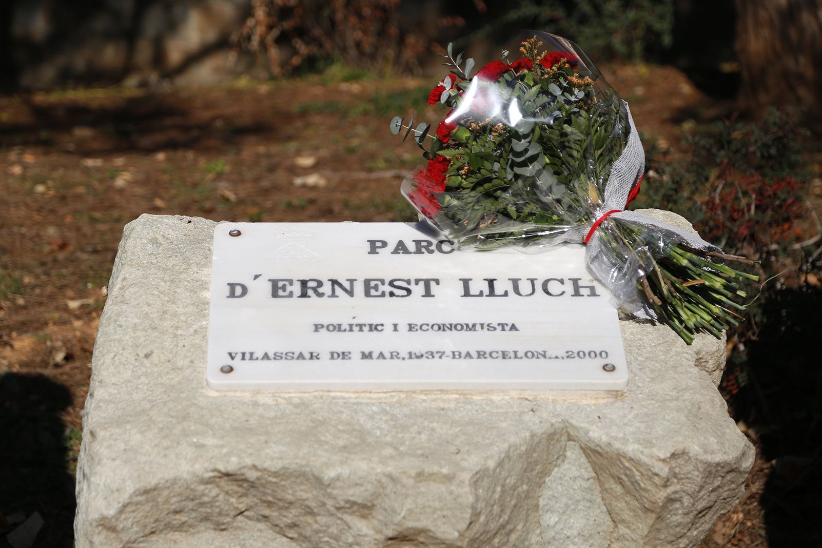 Placa d'homenatge a Ernest Lluch. FOTO: Anna Bassa