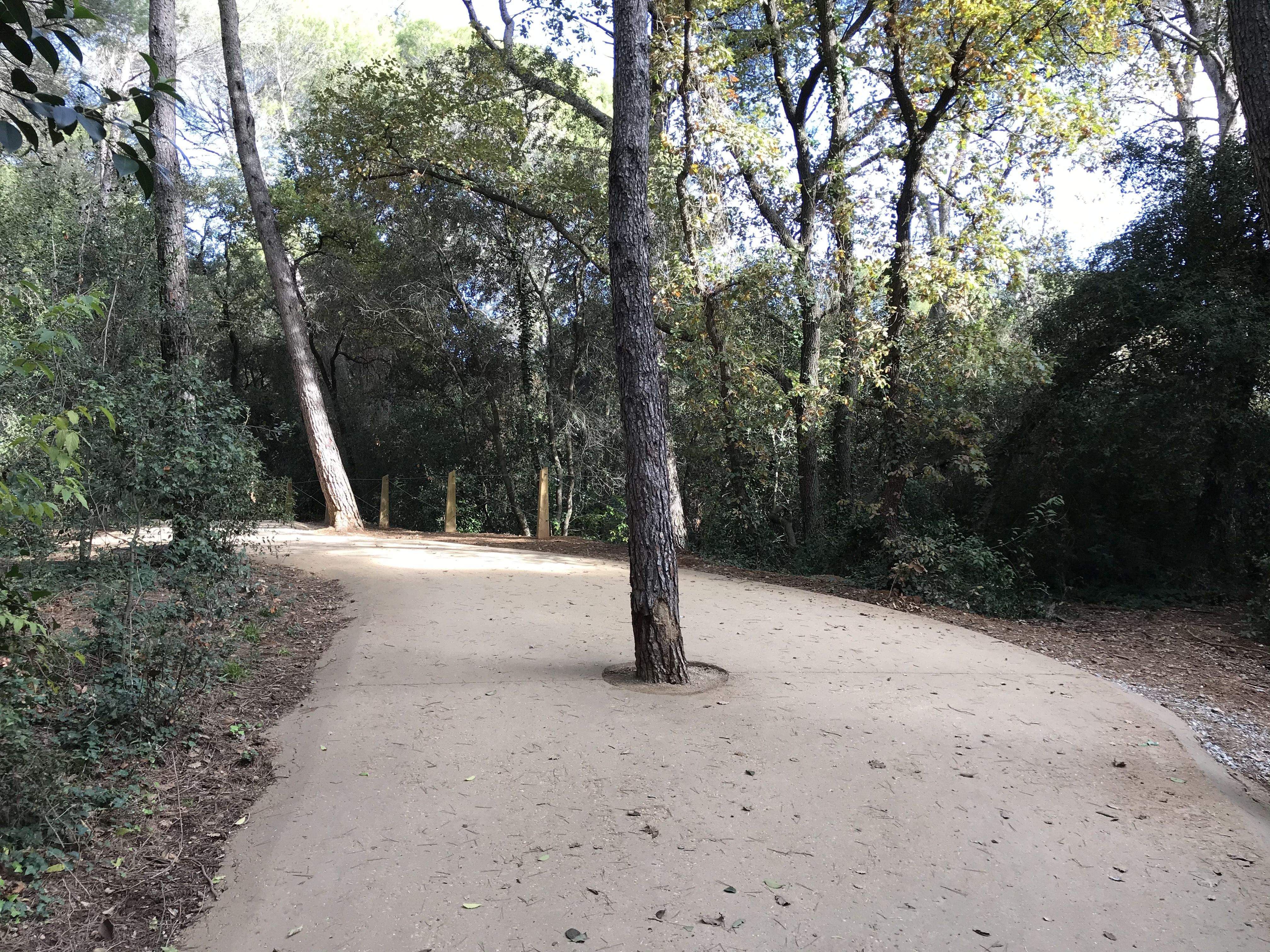 Bosc Volpelleres FOTO: TOT