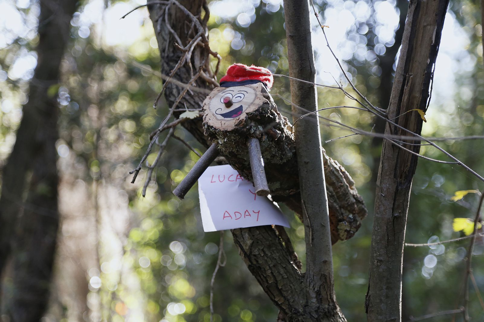 Tions amagats al Bosc de Volpelleres. FOTO: Anna Bassa