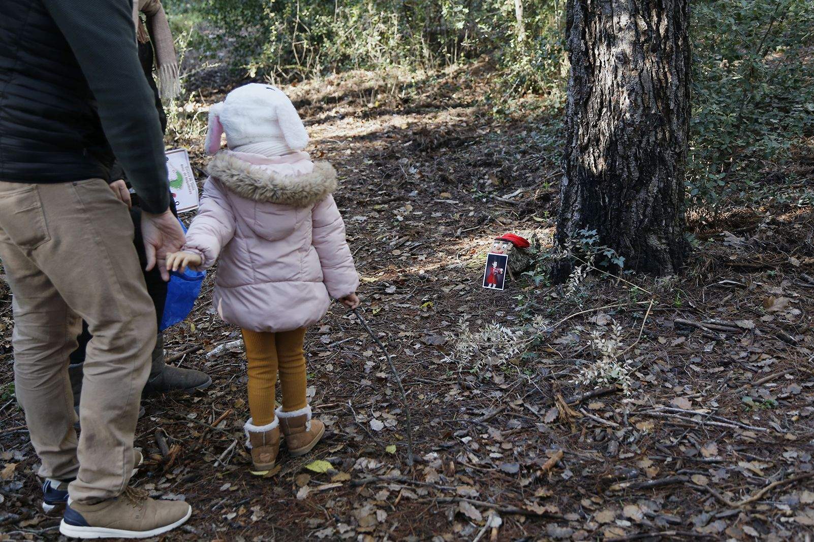 Buscant pel bosc els tions amagats. FOTO: Anna Bassa