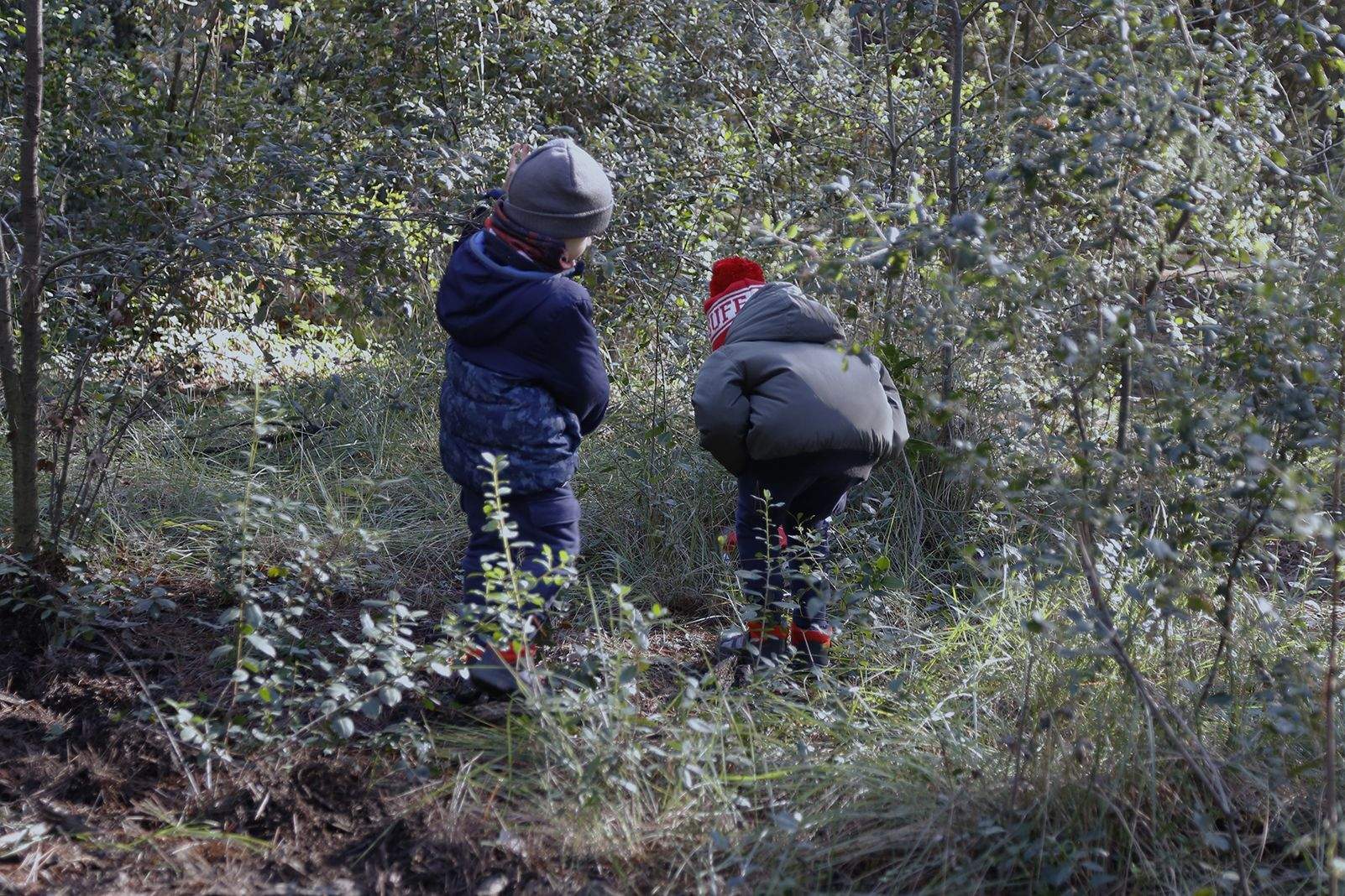 Buscant pel bosc els tions amagats. FOTO: Anna Bassa