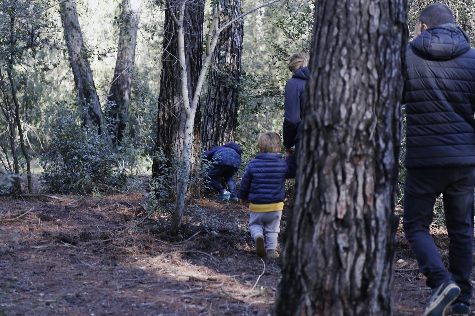 Buscant pel bosc els tions amagats. FOTO: Anna Bassa