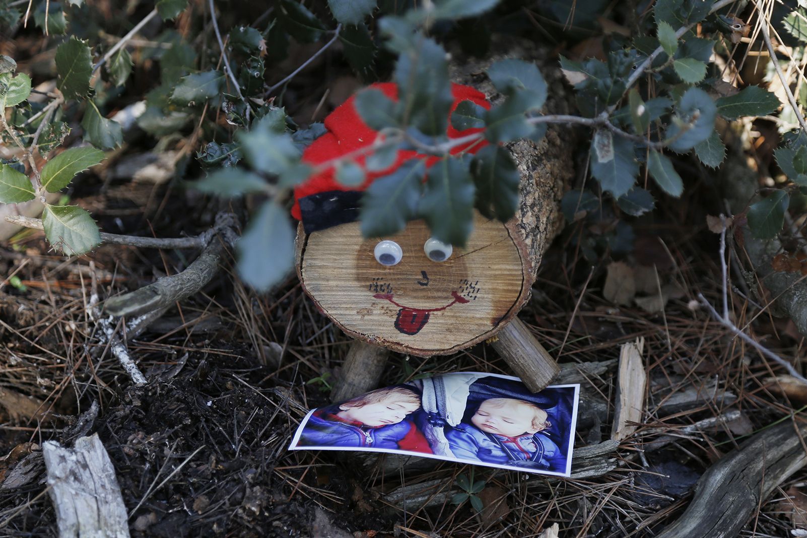 Tions amagats al Bosc de Volpelleres. FOTO: Anna Bassa