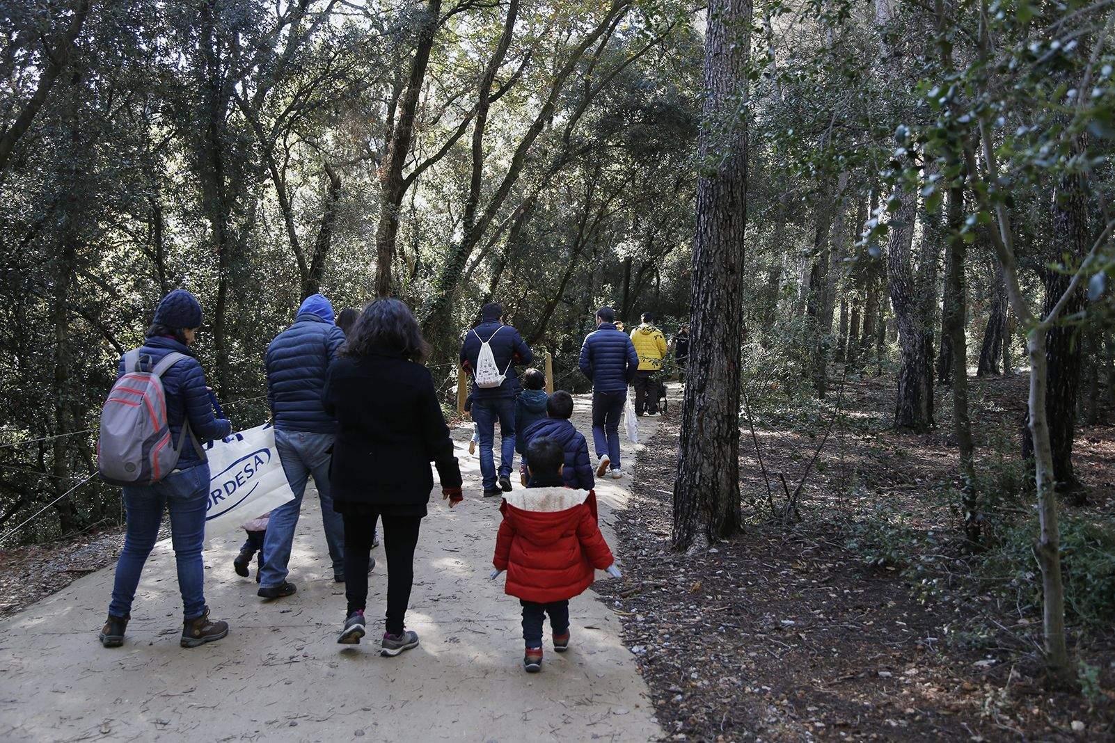 Bosc de Volpalleres durant la caça de tions. FOTO: Anna Bassa