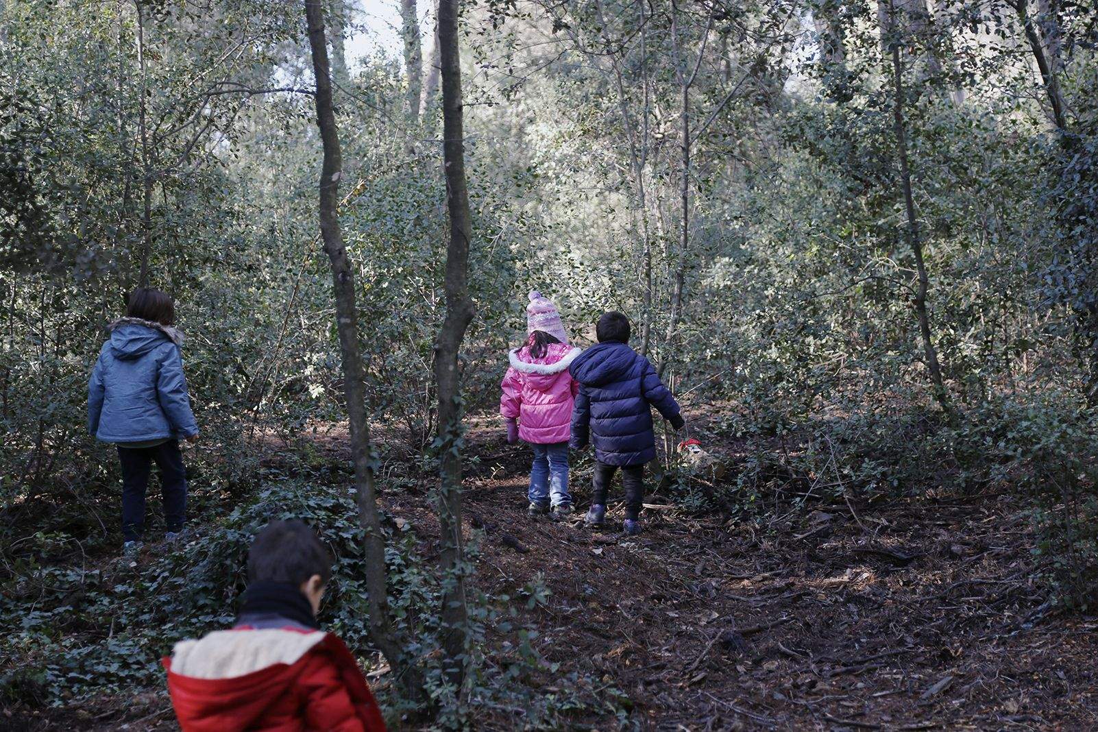 Buscant pel bosc els tions amagats. FOTO: Anna Bassa