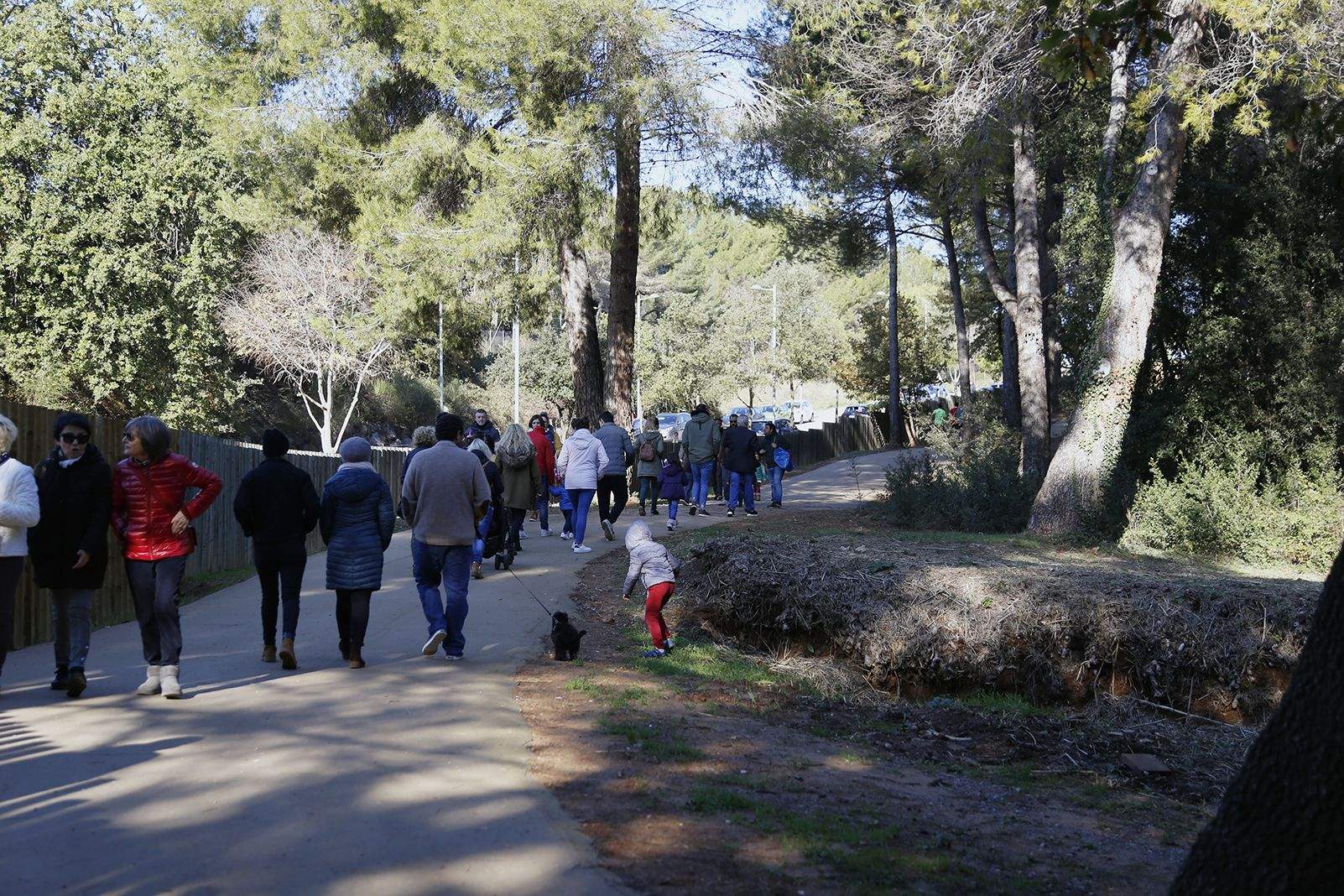 Bosc de Volpalleres durant la caça de tions. FOTO: Anna Bassa