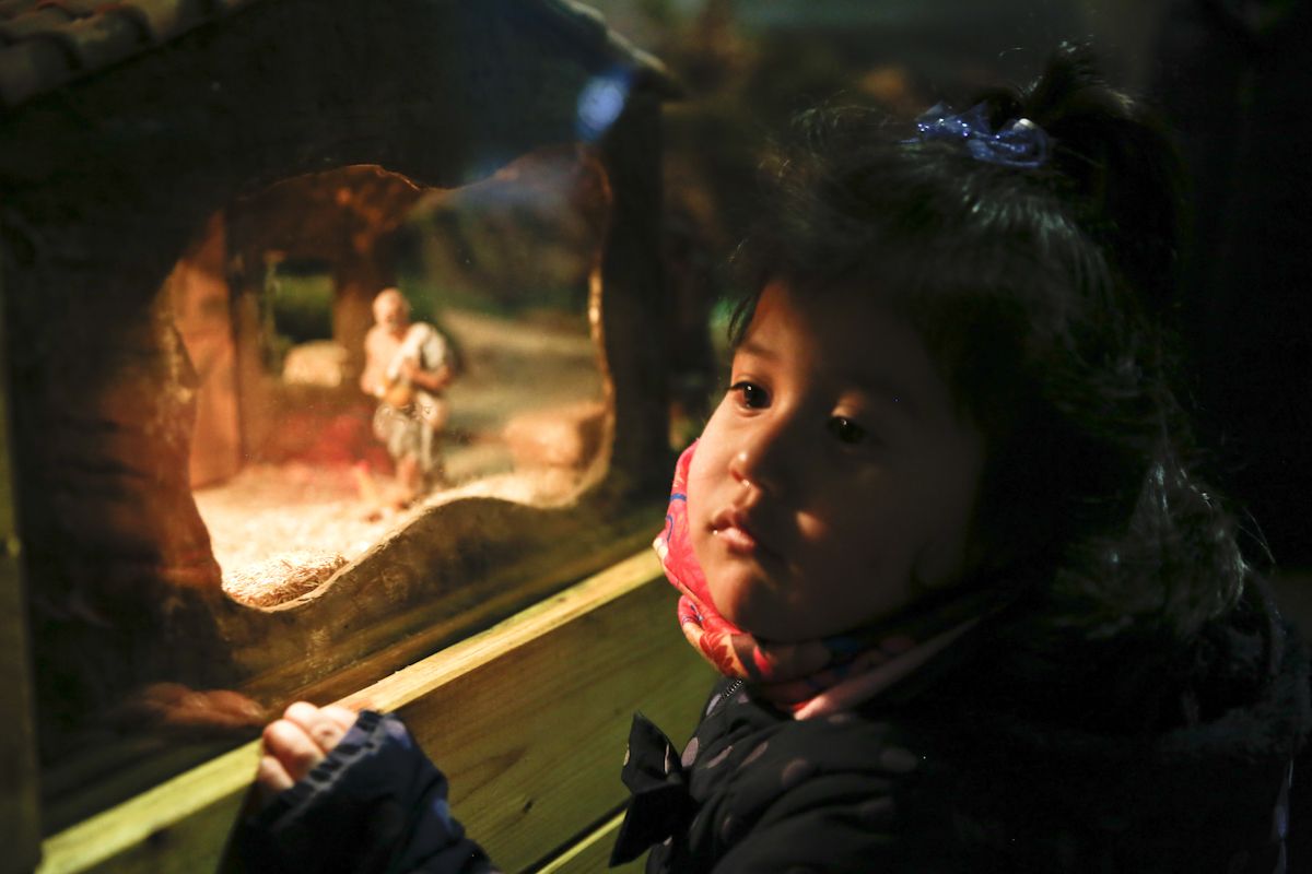 Concurs de pessebres a la finestra de NADAL dels carrers de Sant Cugat. FOTO: Yves Dimant