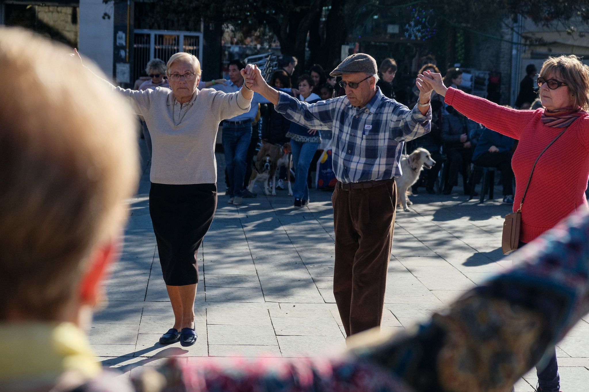 Ballada de Sardanes a la plaça d'Octavià. FOTO: Ale Gómez