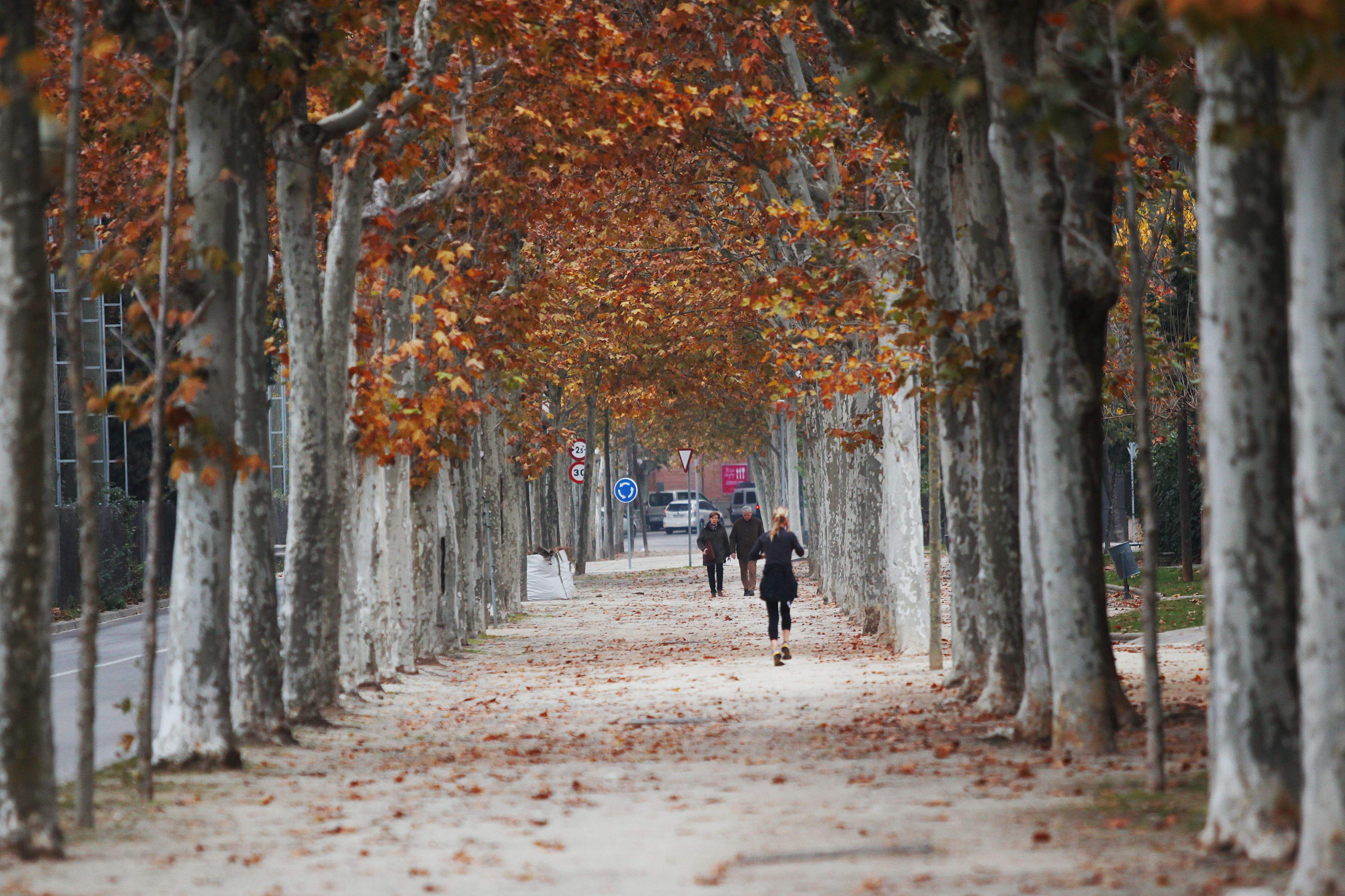 Sant Cugat. FOTO: Lali Puig