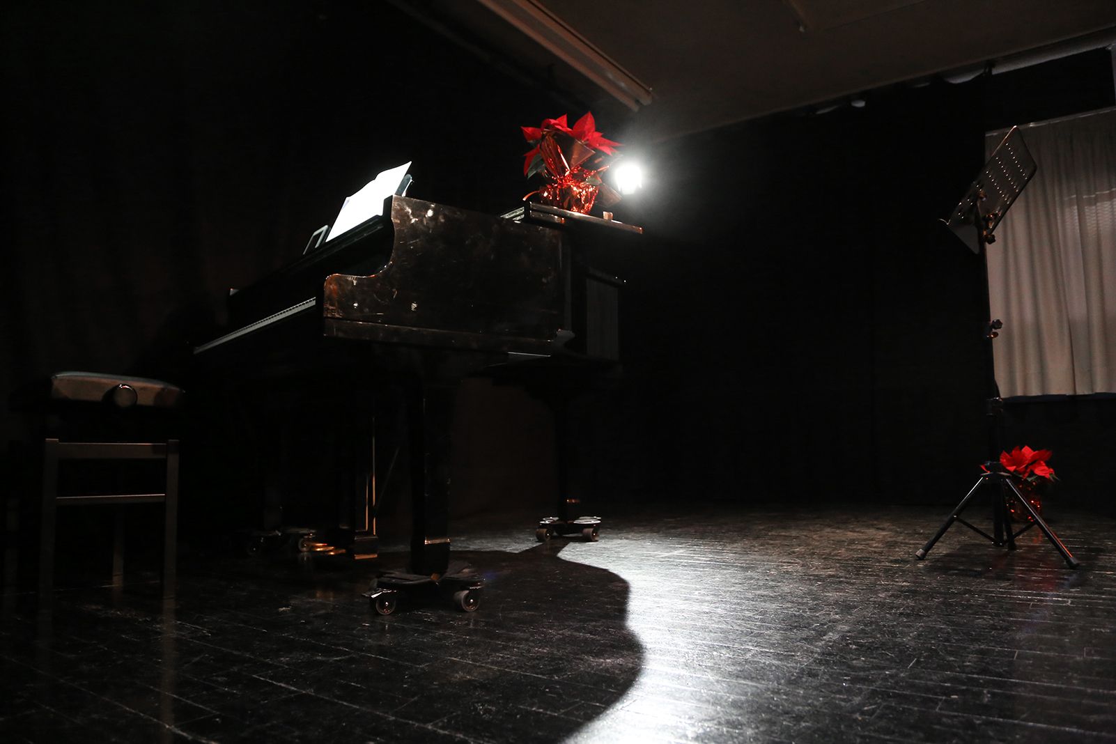 Concert de Nadal de Fusió. FOTO: Anna Bassa