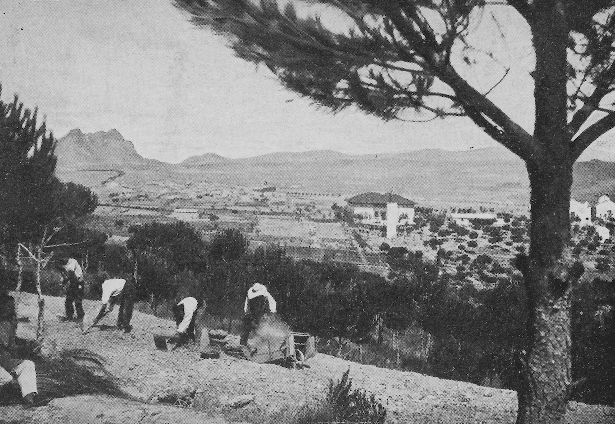 Operaris dedicats a la construcció del ferm de la rambla Can Bell al 1906. FOTO: Postals i Fotografies antigues de Sant Cugat