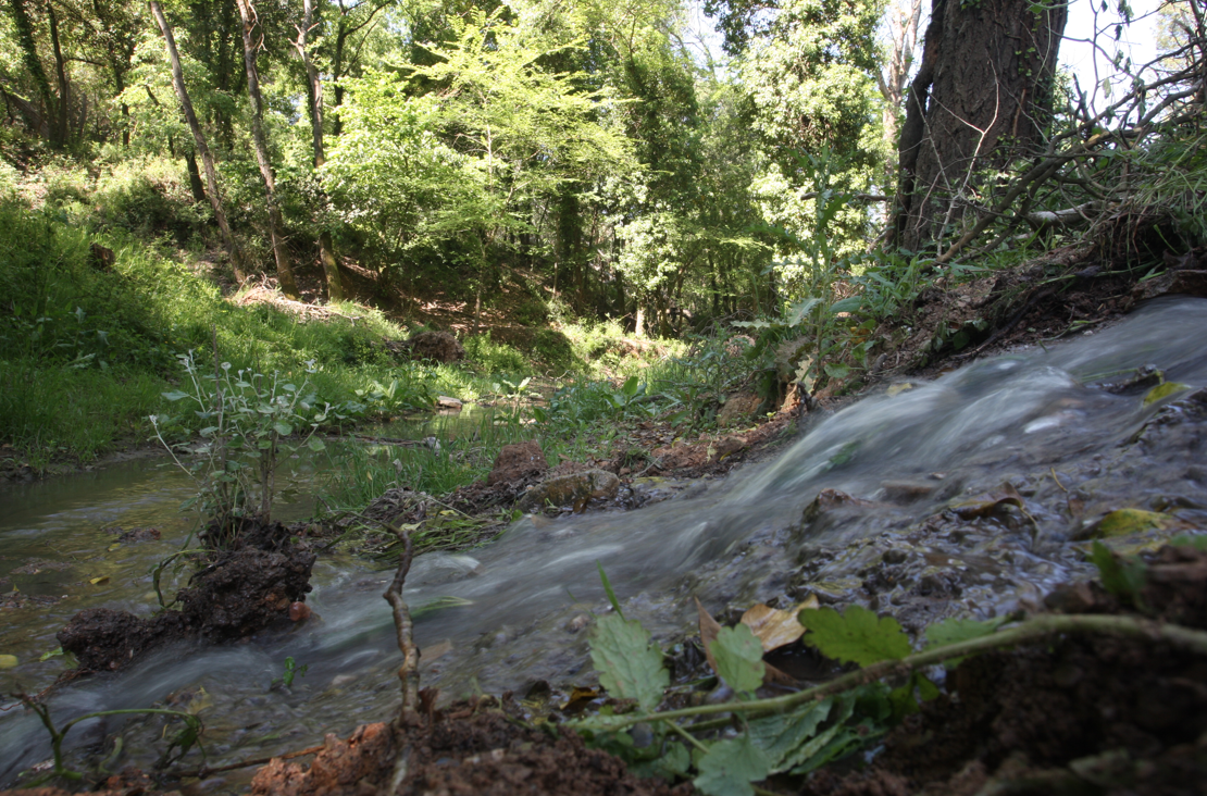 Hi haurà diferents itineraris pel Torrent de Can Llobet. FOTO: Artur Ribera
