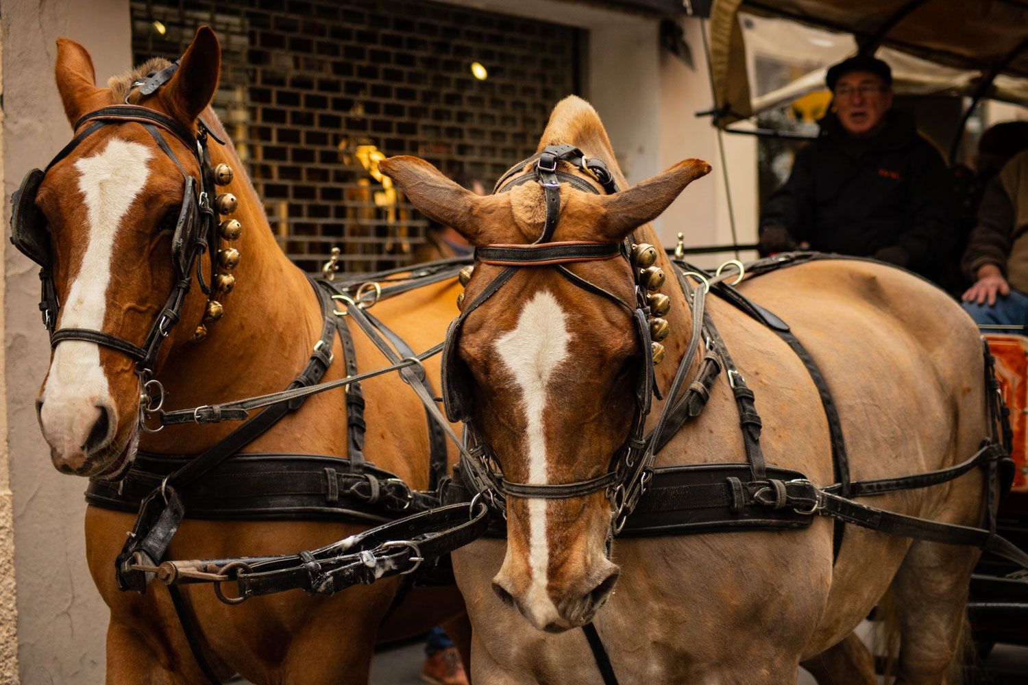 Els tres tombs 2020. Foto: Adrián Gómez