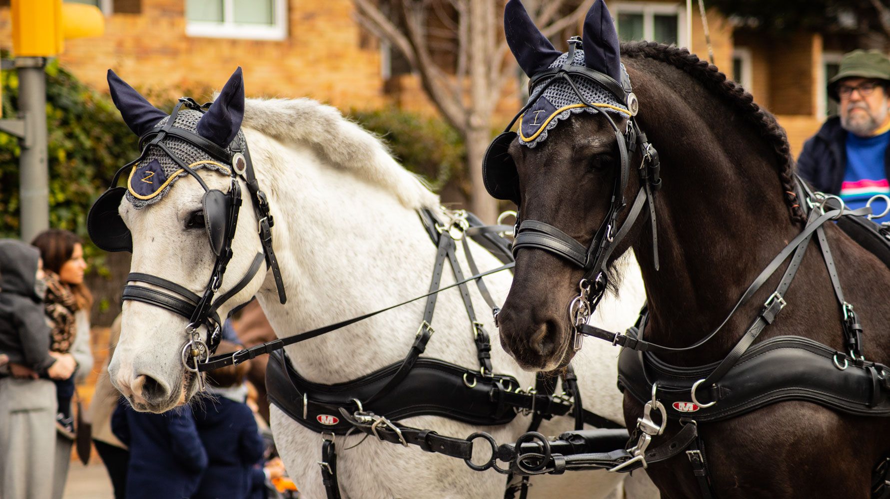 Els tres tombs 2020. Foto: Adrián Gómez