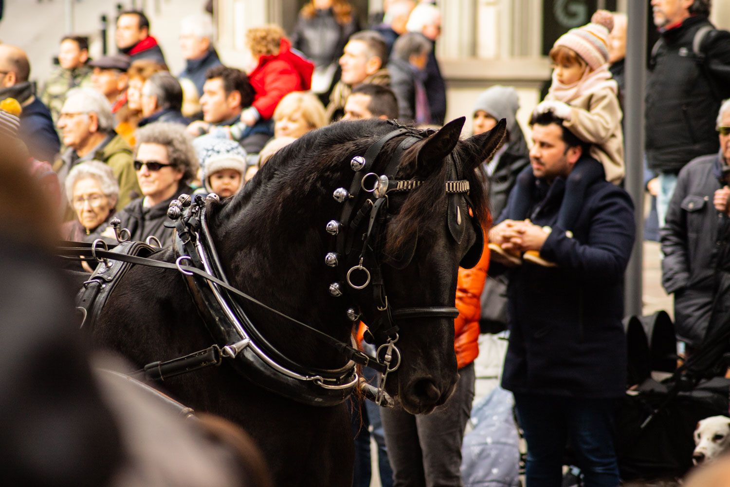 Els tres tombs 2020. Foto: Adrián Gómez
