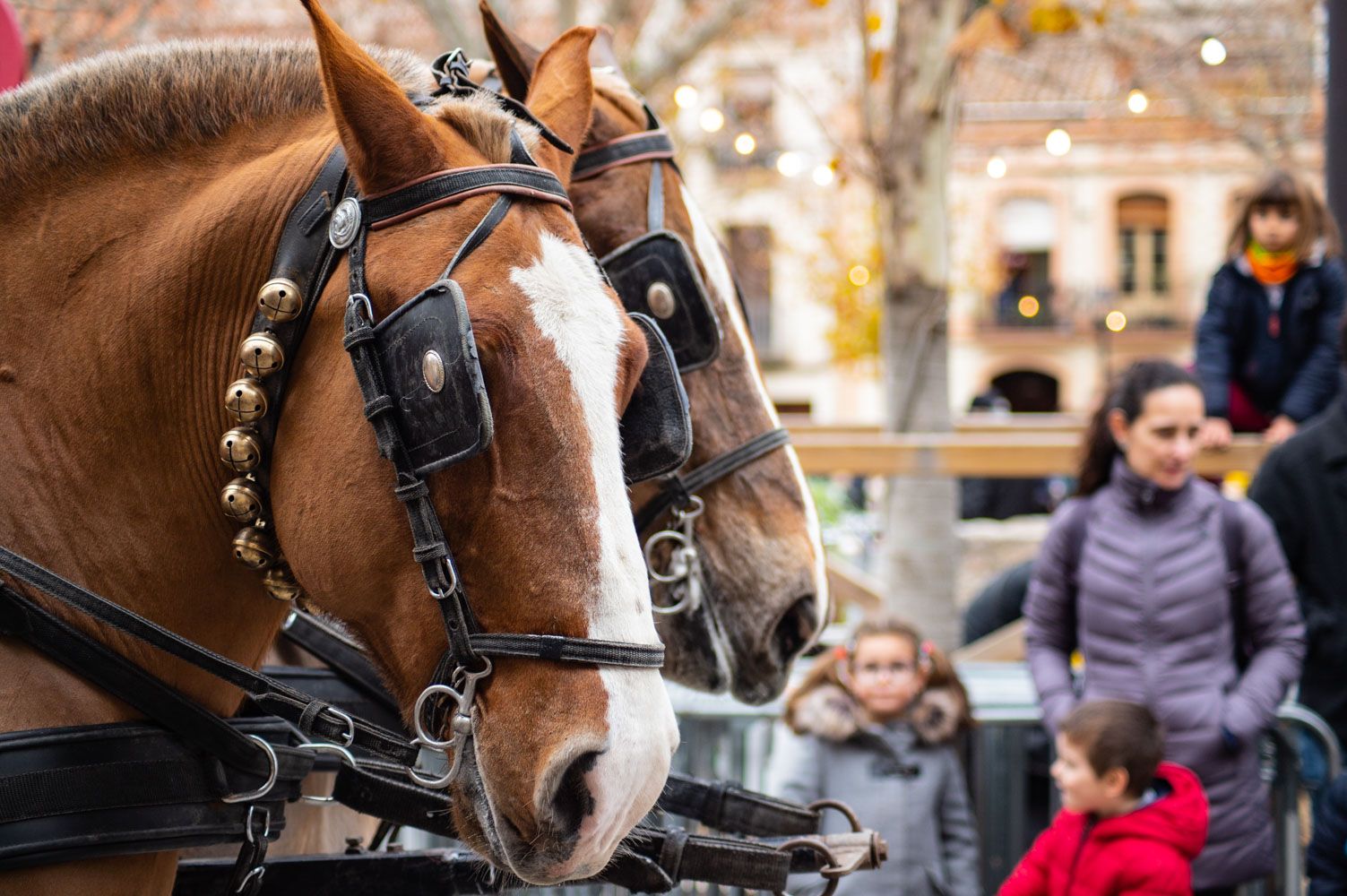 Els tres tombs 2020. Foto: Adrián Gómez