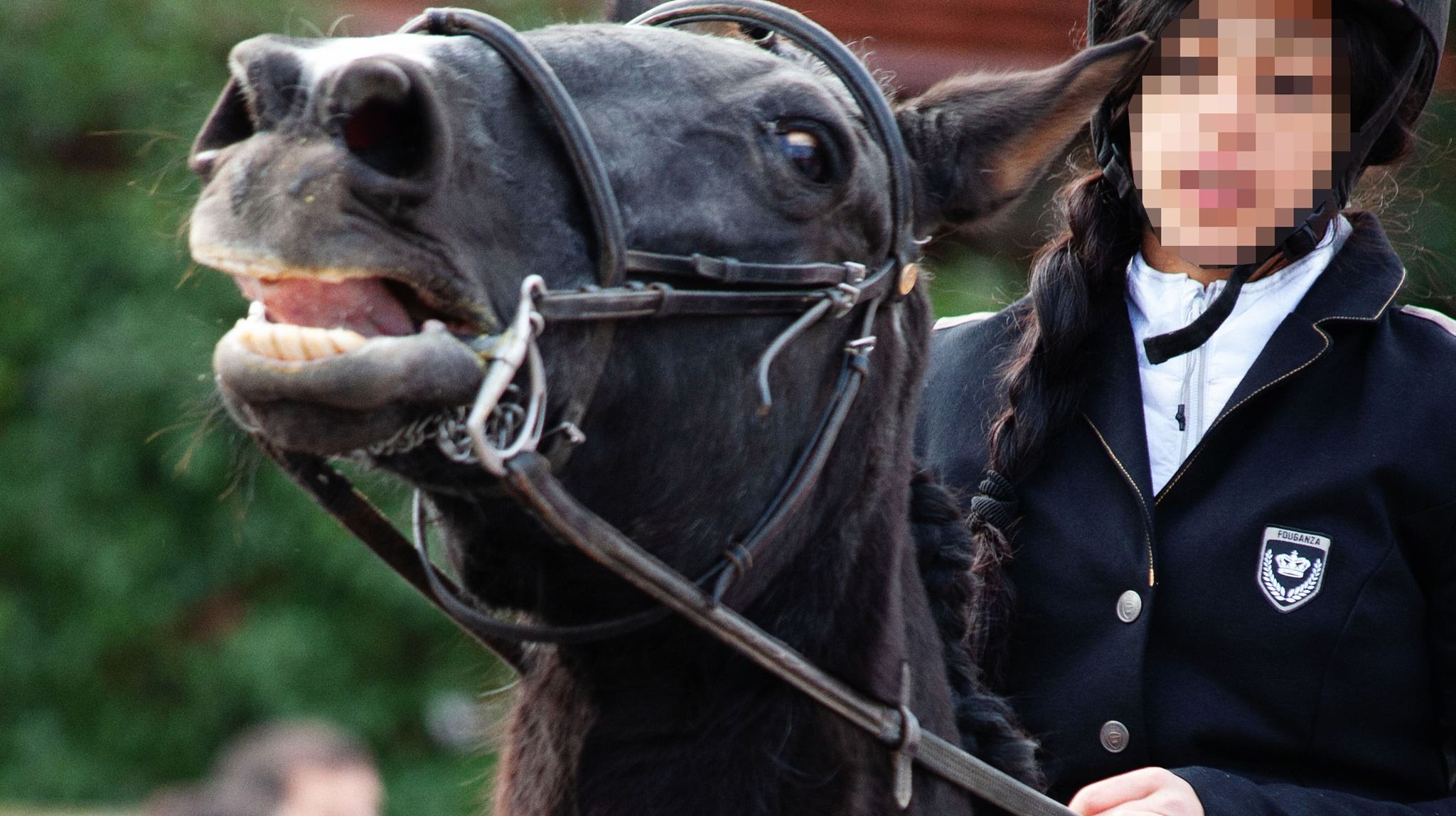 Un dels cavalls durant la rua dels Tres Tombs FOTO: PAS Sant Cugat