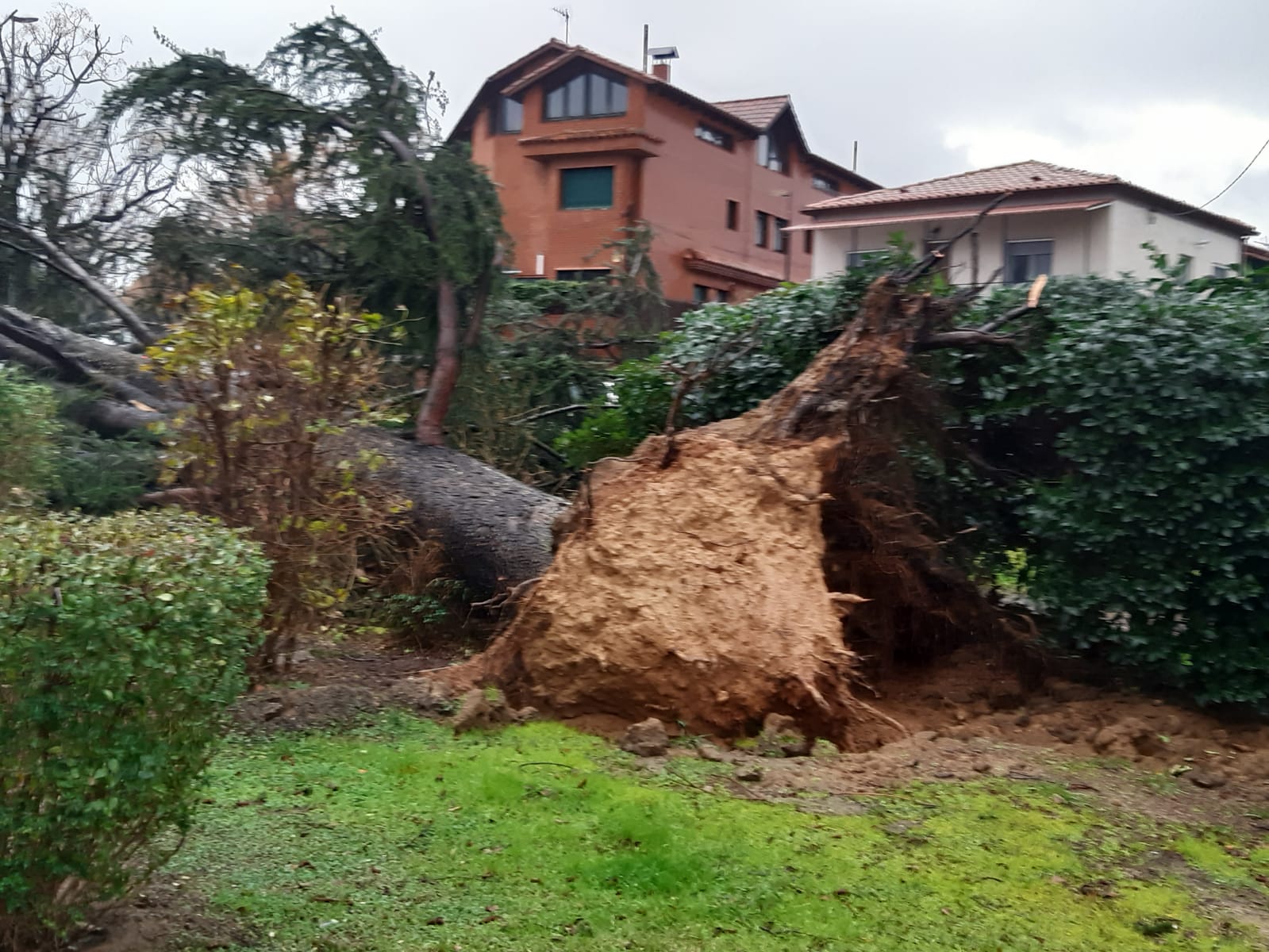 El temporal Glòria ha deixat 200 incidències i ha marcat l'actualitat setmanal a Sant Cugat. FOTO: Arxiu