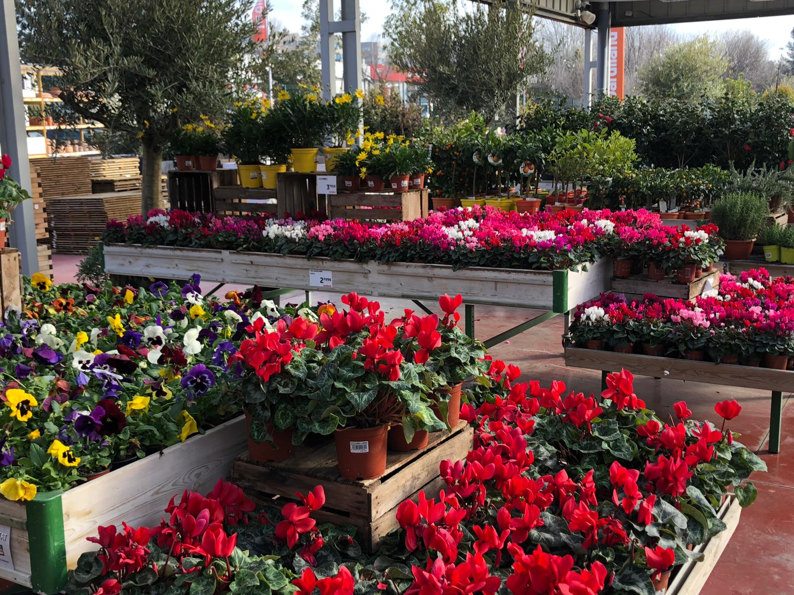  Passió per les plantes i la natura FOTO: cedida