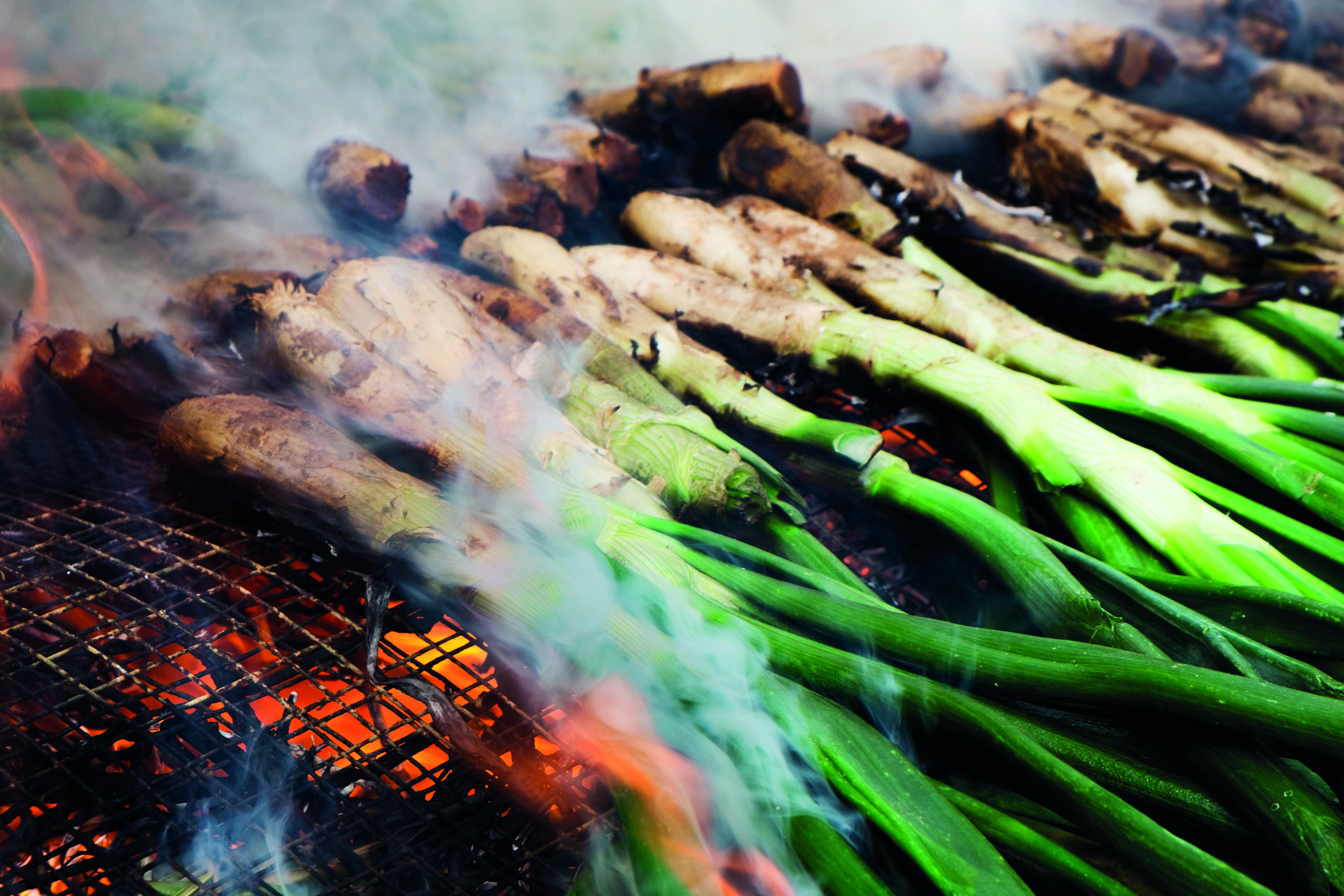 Els calçots, el plat típic català però amb orígens incerts. FOTO: CEDIDA