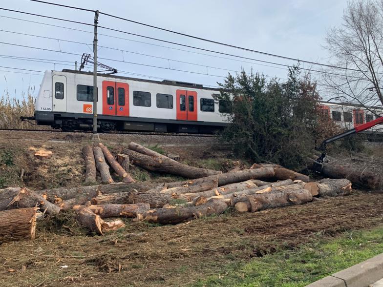 Tala d'arbres al voral de la via dels FGC, a Mira-Sol. FOTO: Cedida