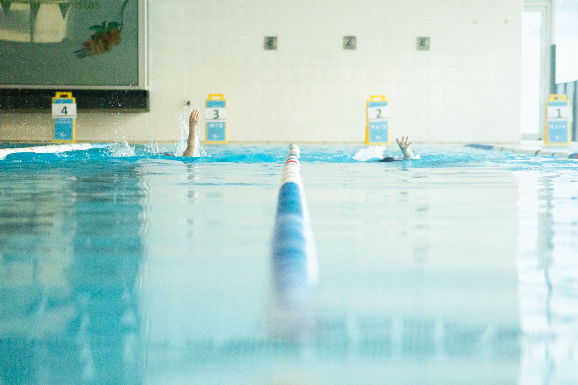 Campionat Natació Escolar. Foto: Adrián Gómez