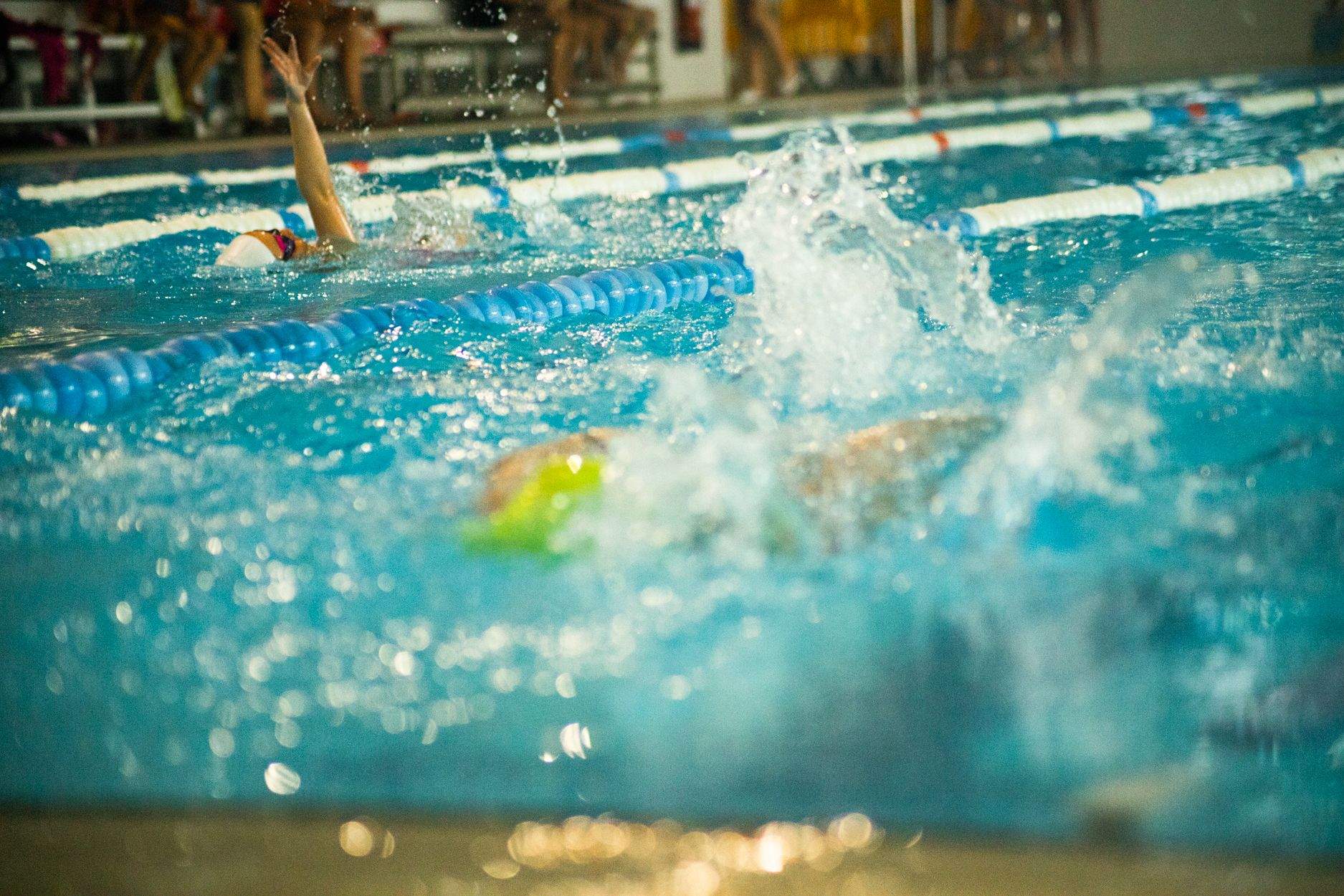 Campionat Natació Escolar. Foto: Adrián Gómez