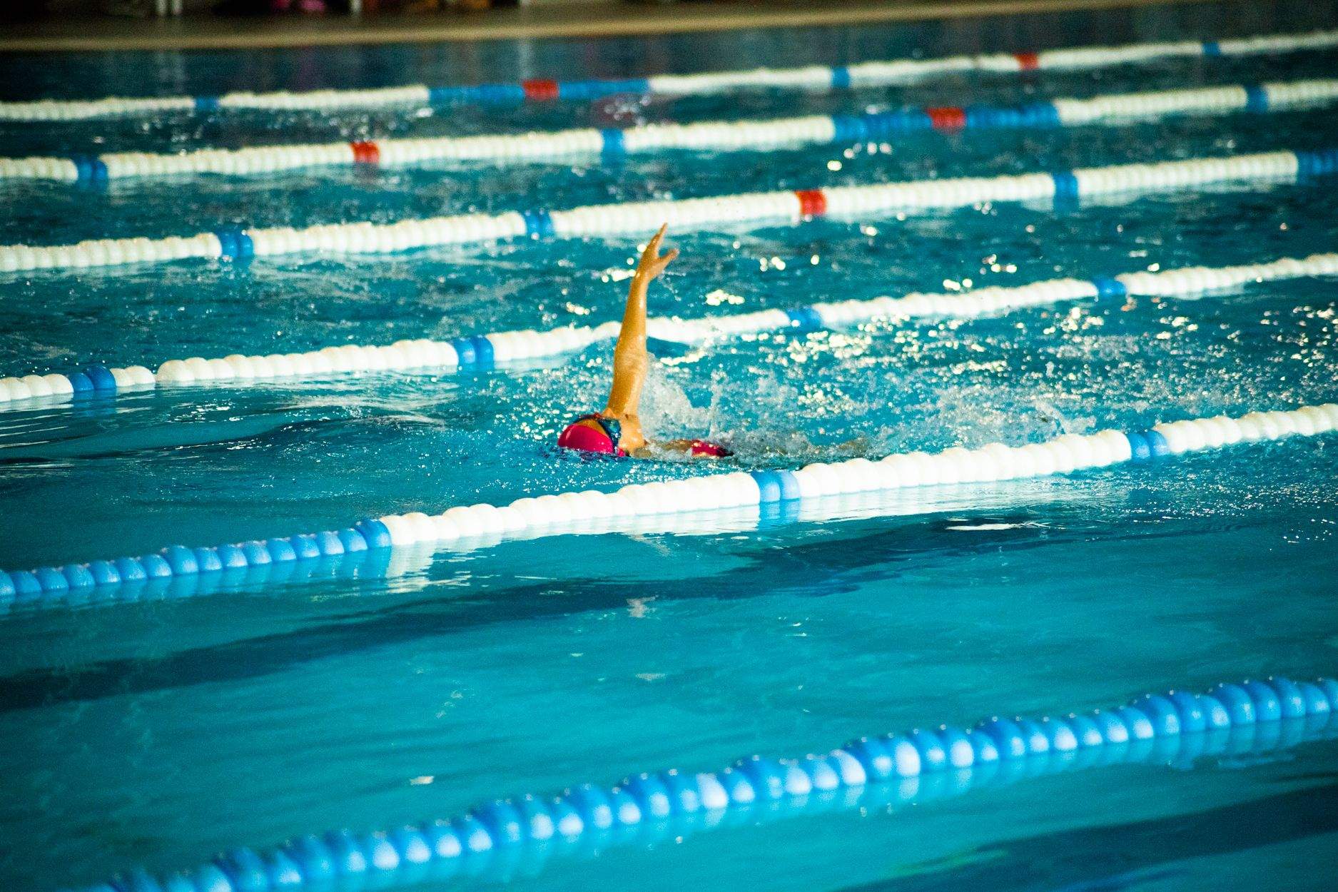 Campionat Natació Escolar. Foto: Adrián Gómez