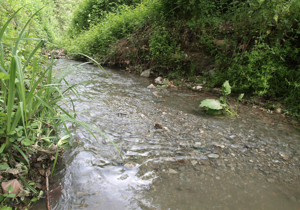 Una riera de Sant Cugat del Vallès FOTO: Arxiu
