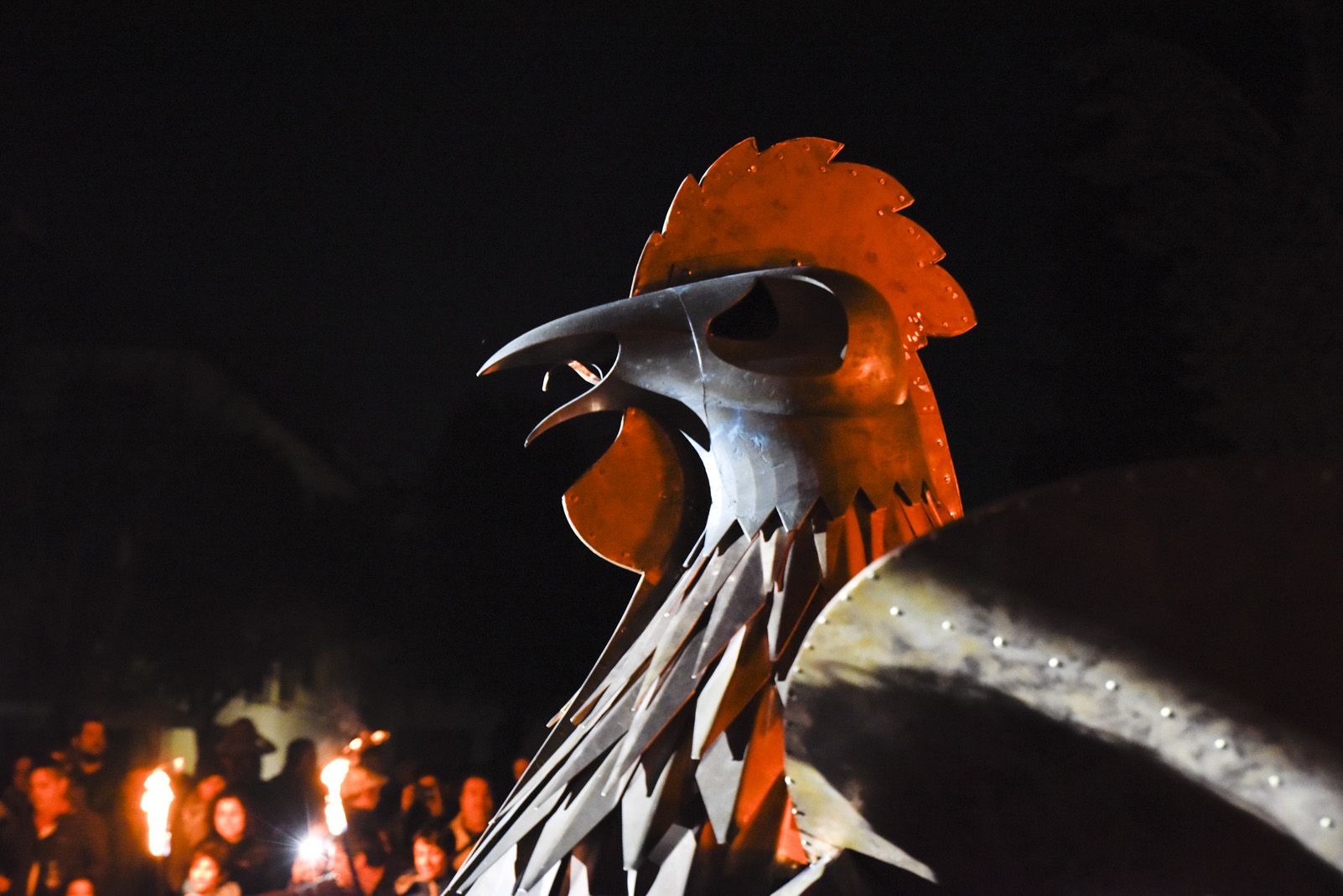 Crida del Gall. Foto: Bernat Millet.