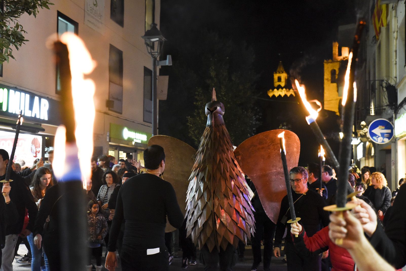 Crida del Gall. Foto: Bernat Millet.