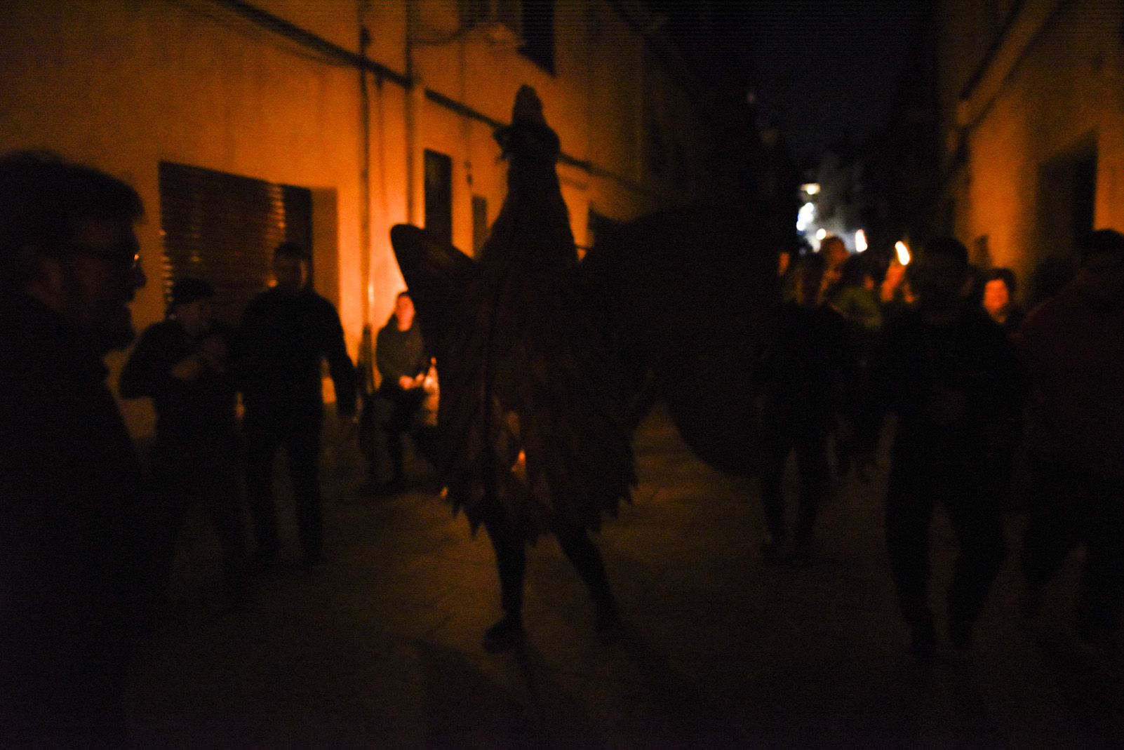 Crida del Gall. Foto: Bernat Millet.