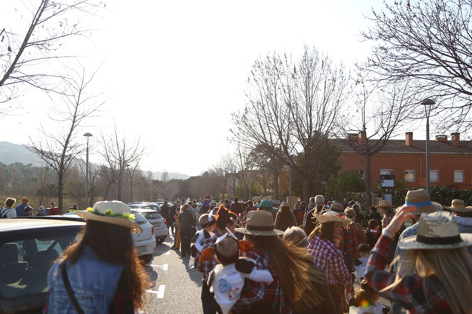 Rua de Carnestoltes a Mira-sol. FOTO: Anna Bassa