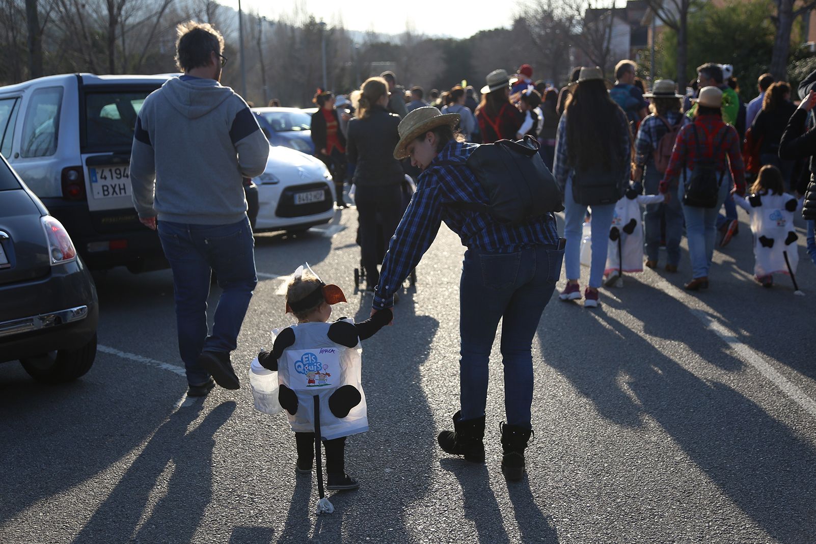 Rua de Carnestoltes a Mira-sol. FOTO: Anna Bassa