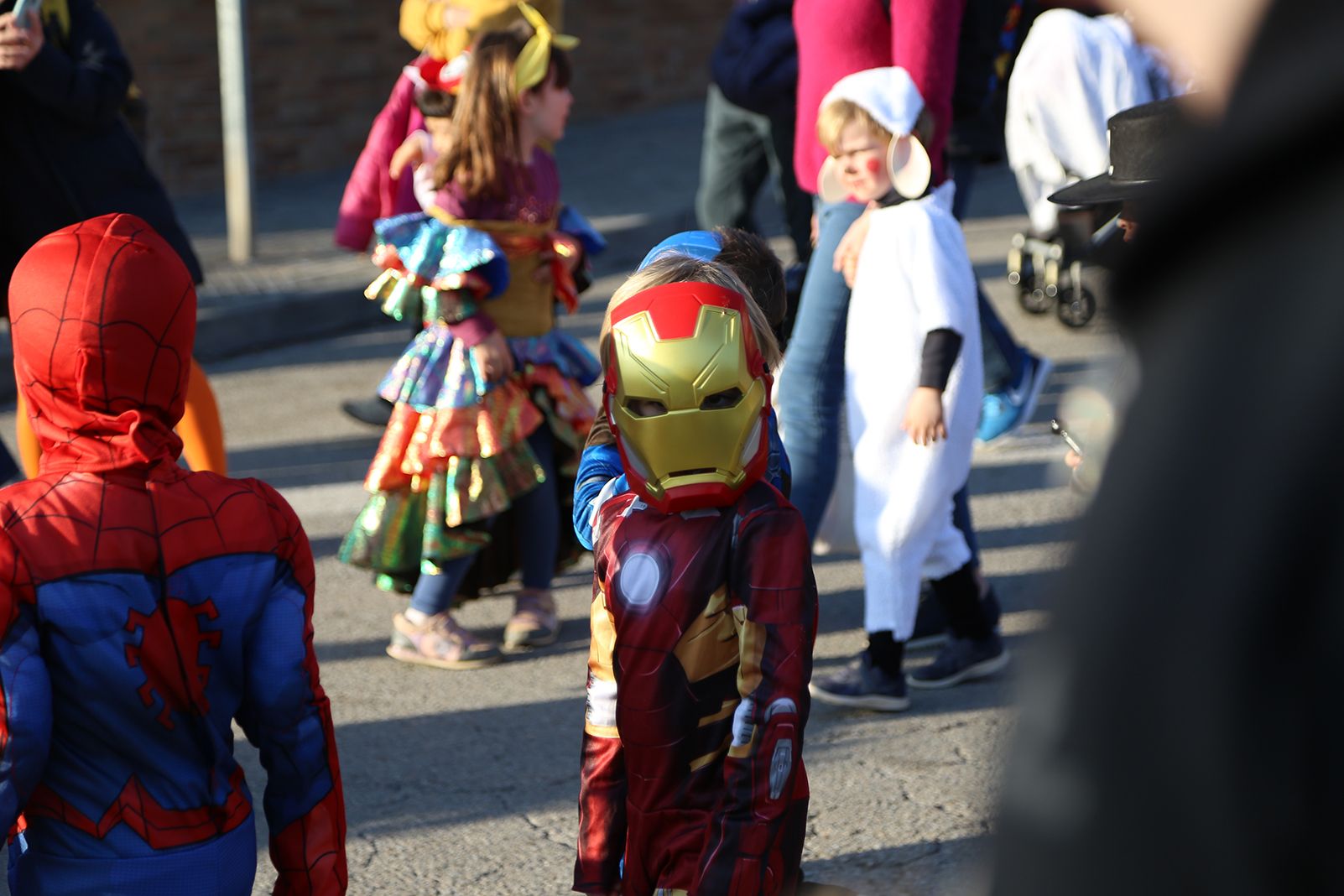 Rua de Carnestoltes a Mira-sol. FOTO: Anna Bassa