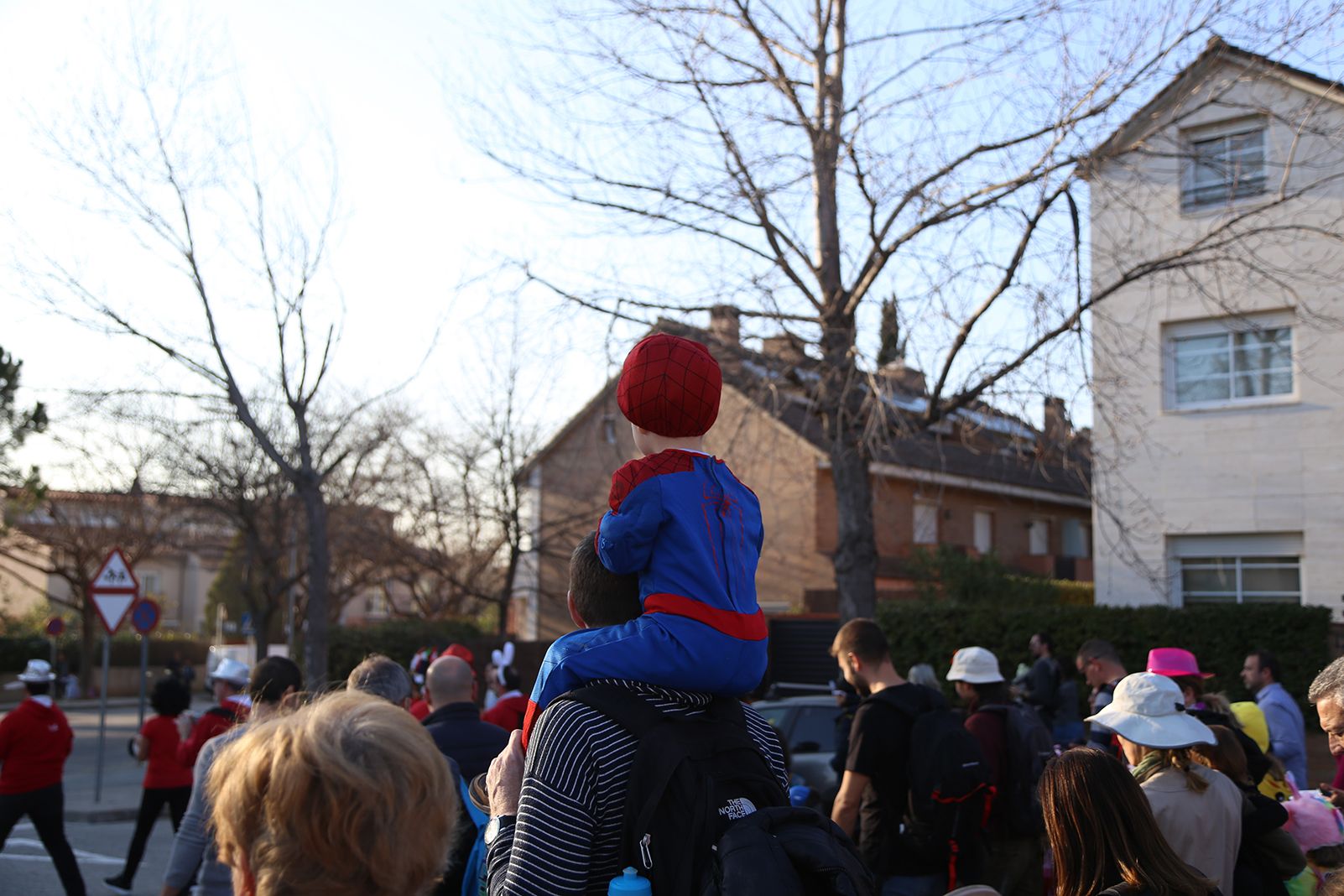 Rua de Carnestoltes a Mira-sol. FOTO: Anna Bassa