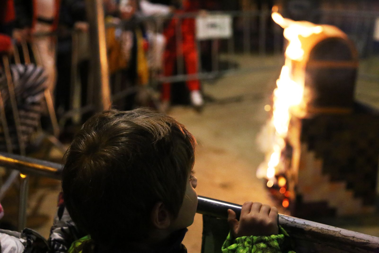 Judici Rei Carnestoltes. FOTO: Anna Bassa