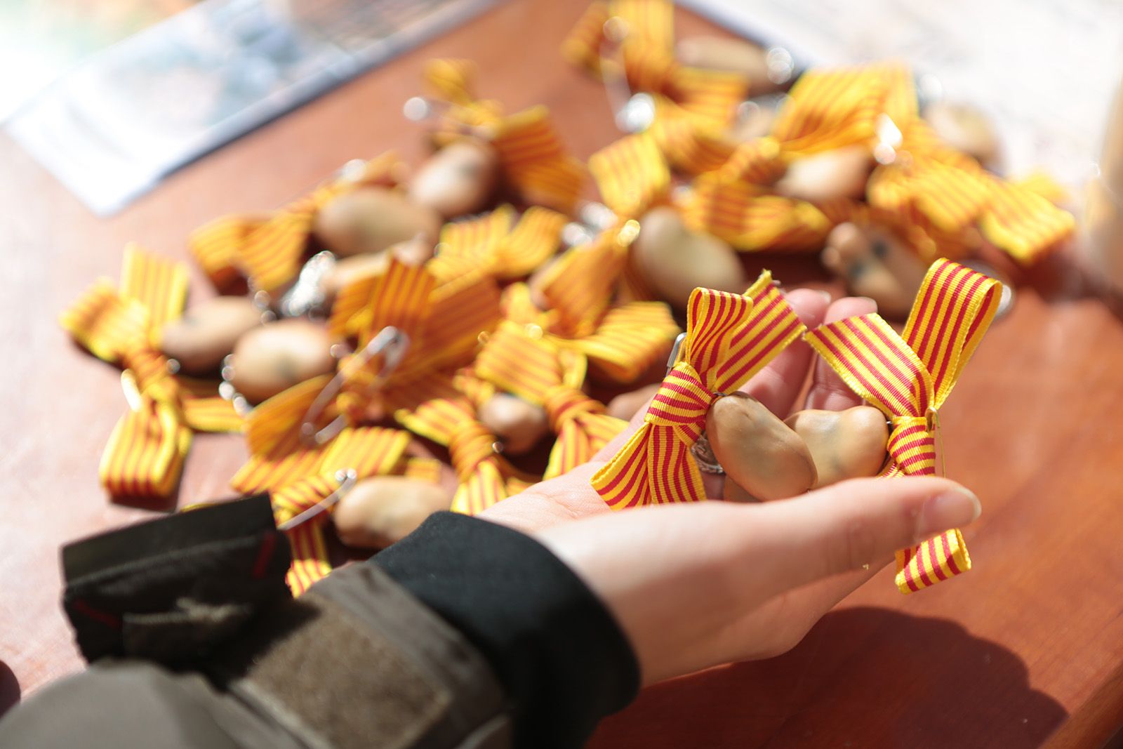 Les fave de Sant Medir. FOTO: Artur Ribera