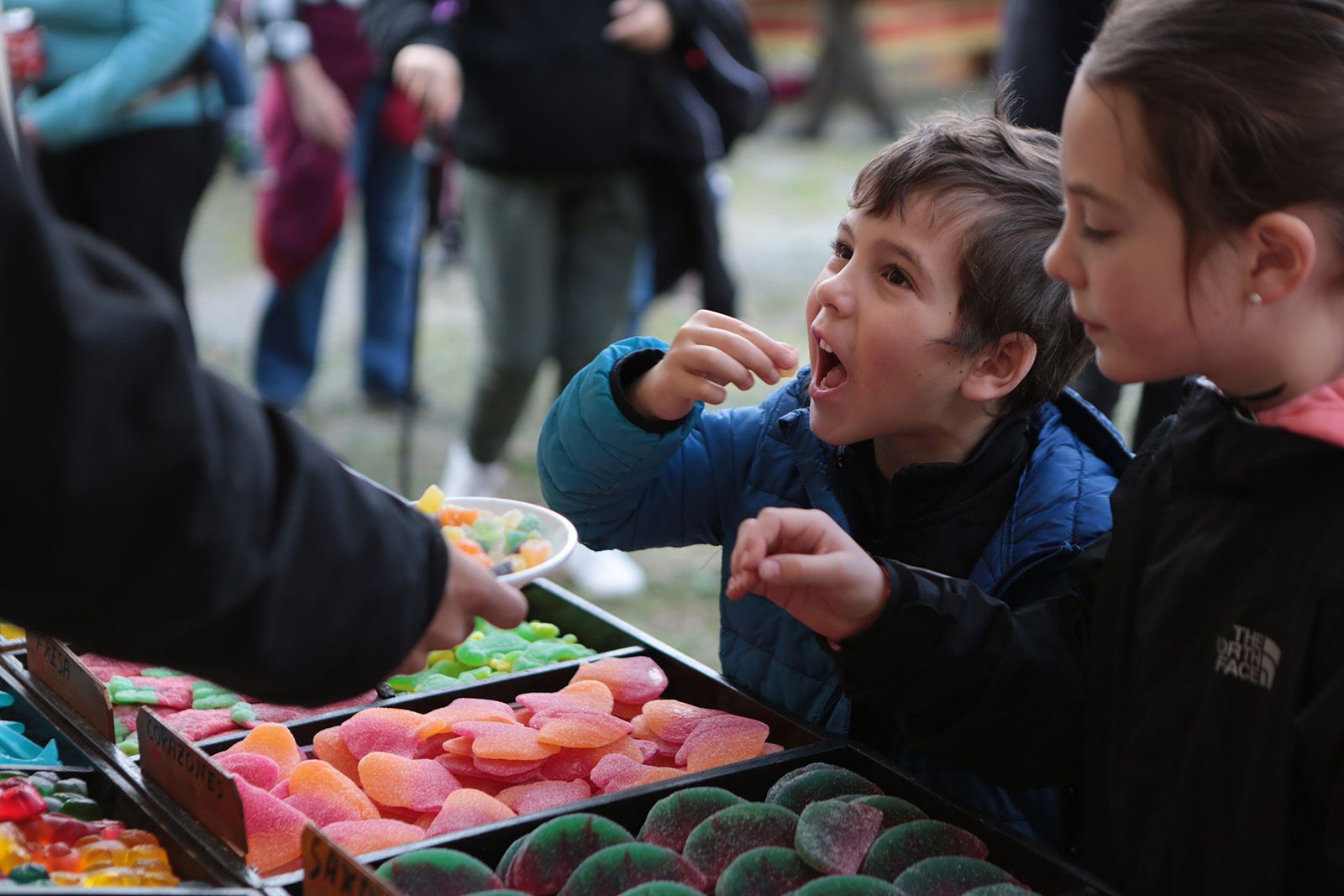 Les fave de Sant Medir. FOTO: Artur Ribera