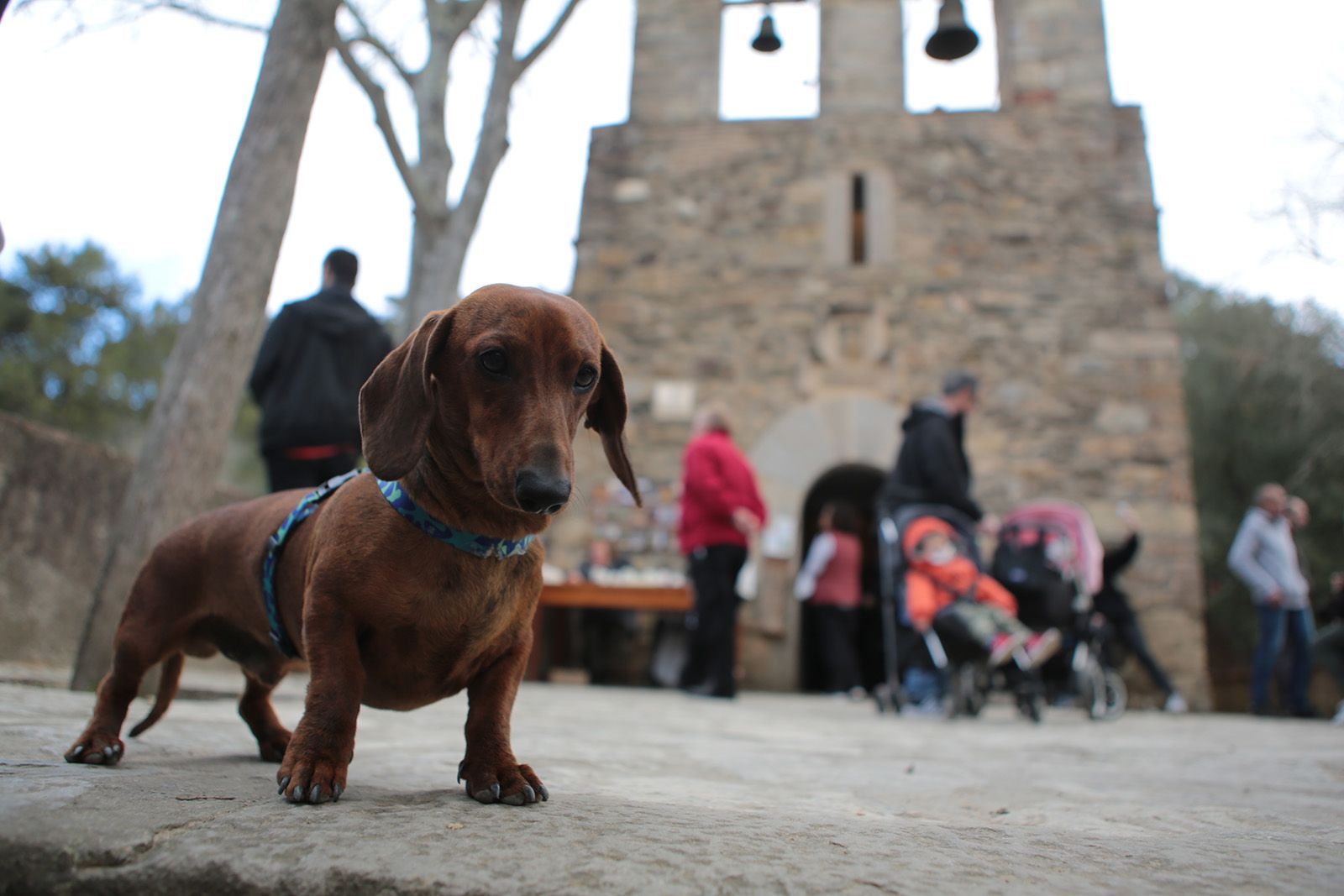 Sant Medir 2020. FOTO: Artur Ribera
