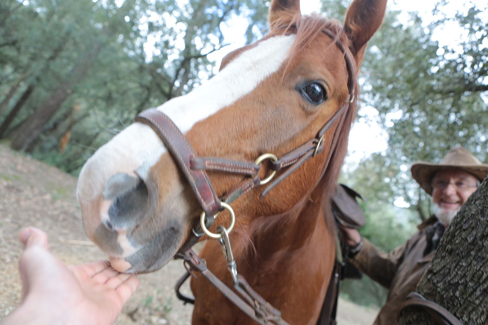 Sant Medir 2020. FOTO: Artur Ribera