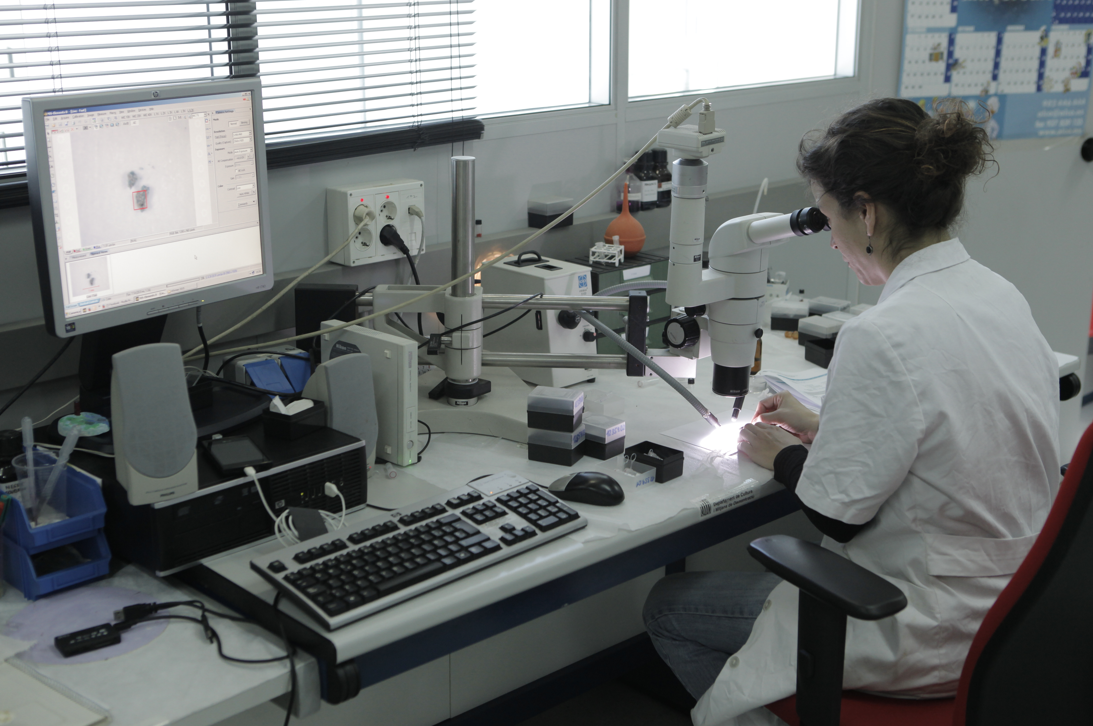 Les dones cobren de mitjana 15.000 euros menys que els homes a Sant Cugat FOTO: Artur Ribera