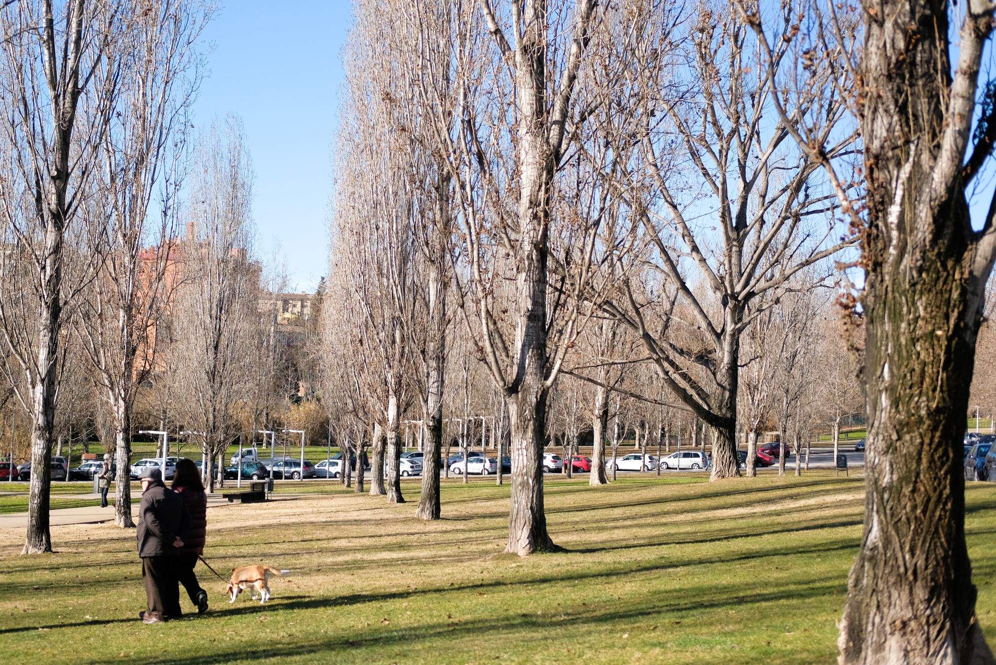 Temps tranquil amb temperatures altes per aquesta setmana a Sant Cugat. FOTO: Arxiu