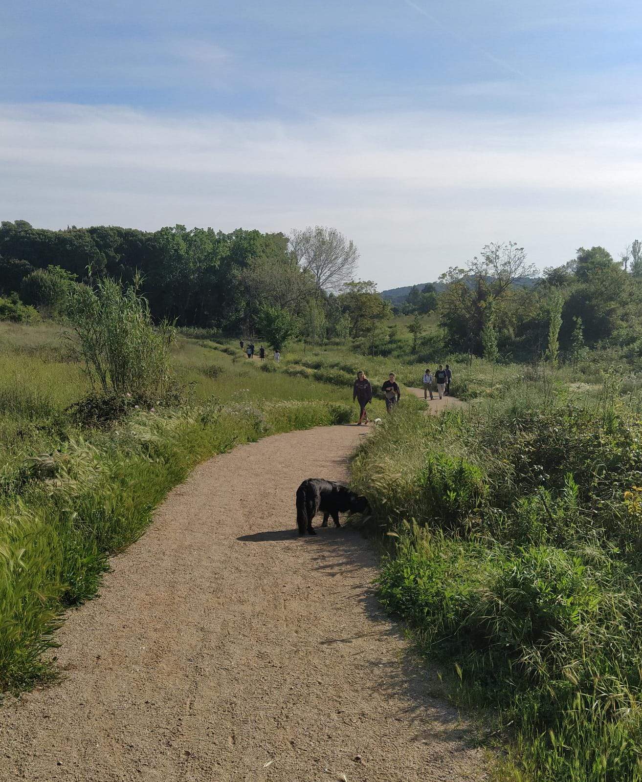 Passejant per espais verds FOTO: Cedida