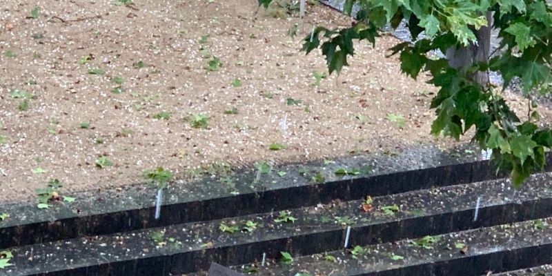 La pedra ha caigut a molts punts del municipi.