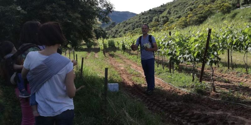 LA MUNTADA (SANT LLORENÇ SAVALL)