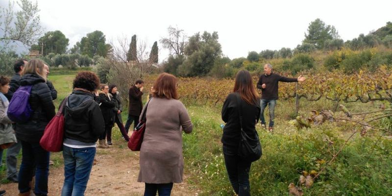 CELLER DE CAN MORRAL DEL MOLÍ