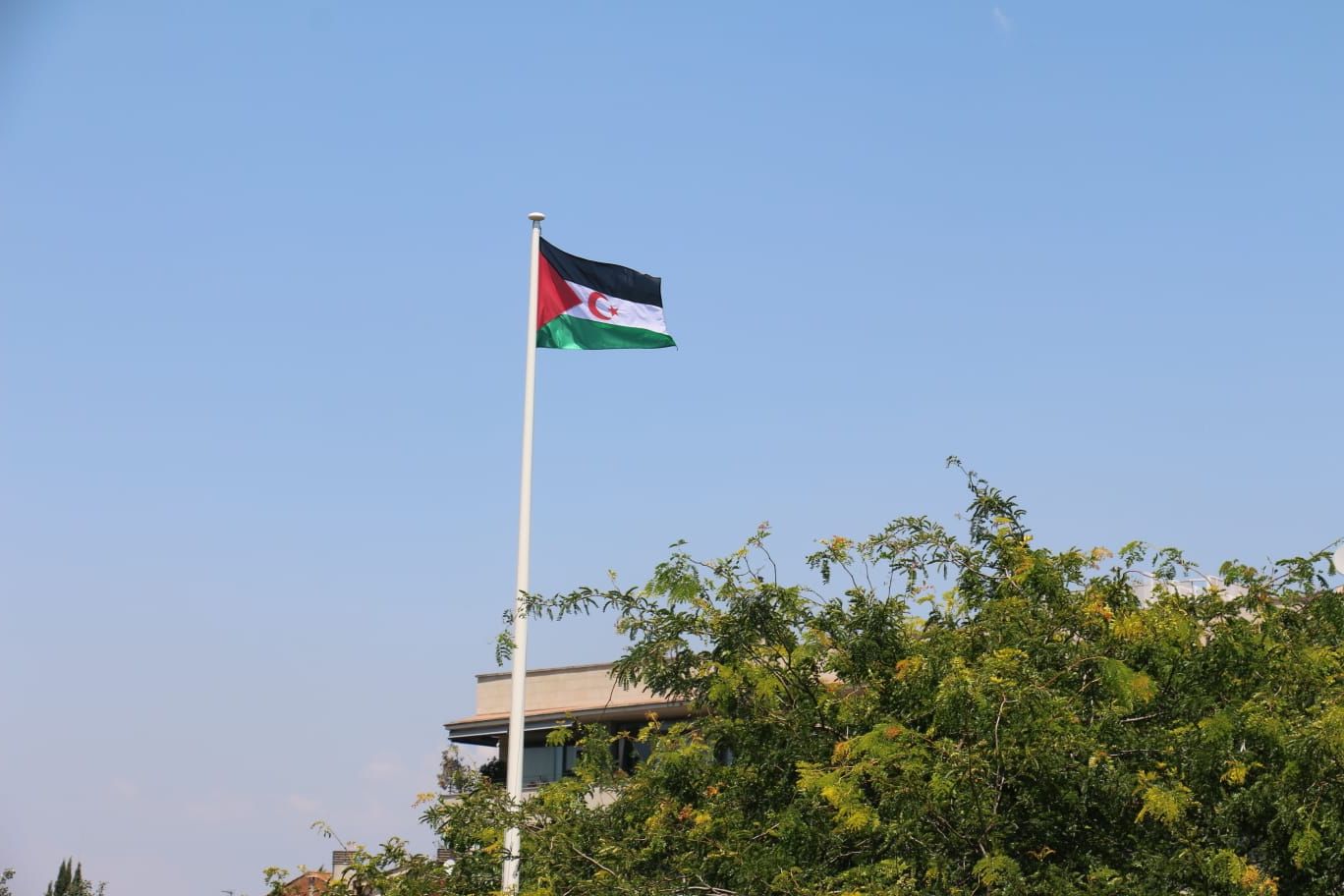 L'Ajuntament se suma a les reivindicacions del Poble Sahrauí fent onejar la seva bandera. FOTO: Cedida