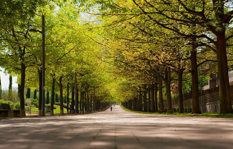 Passeig Gaudí de Sant Cugat. FOTO: Cedida